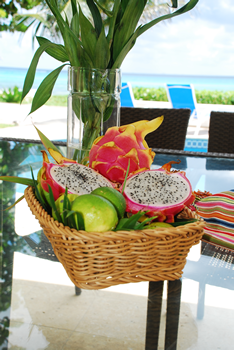 vacation rental playa del carmen magda rental home by owner for rent beachfront mexico vacation rentals playa del carmen real estate cancun